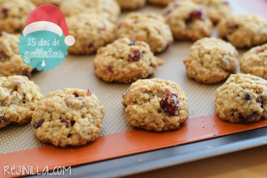 galletas avena cranberry 25