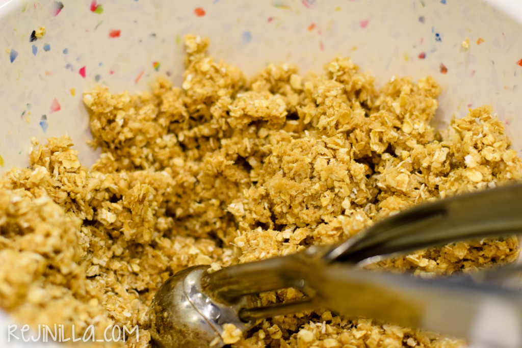 coco avena cocadas-5